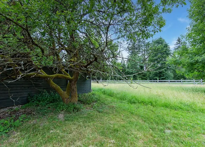 Rennsteig Trail Family Escape Eisfeld